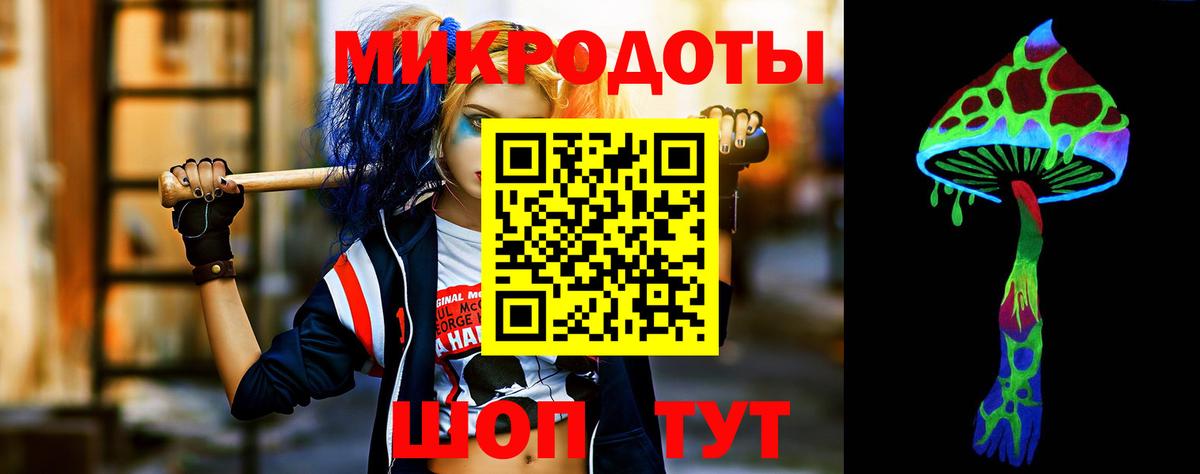 Арсеньев  Галлюциногенные грибы прущие грибы  Вход с VPN 